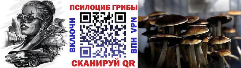 Псилоцибиновые грибы ЛСД  наркотики  Ясный 